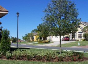 Landscaping Lakeland FL